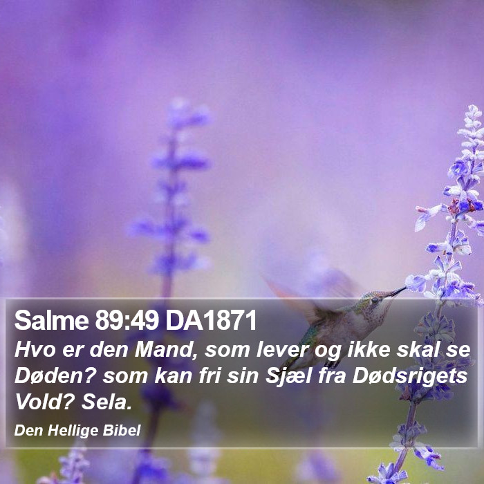 Salme 89:49 DA1871 Bible Study