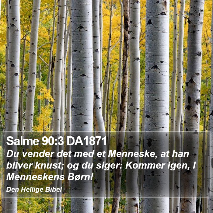 Salme 90:3 DA1871 Bible Study