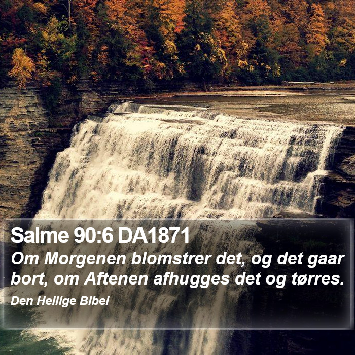 Salme 90:6 DA1871 Bible Study