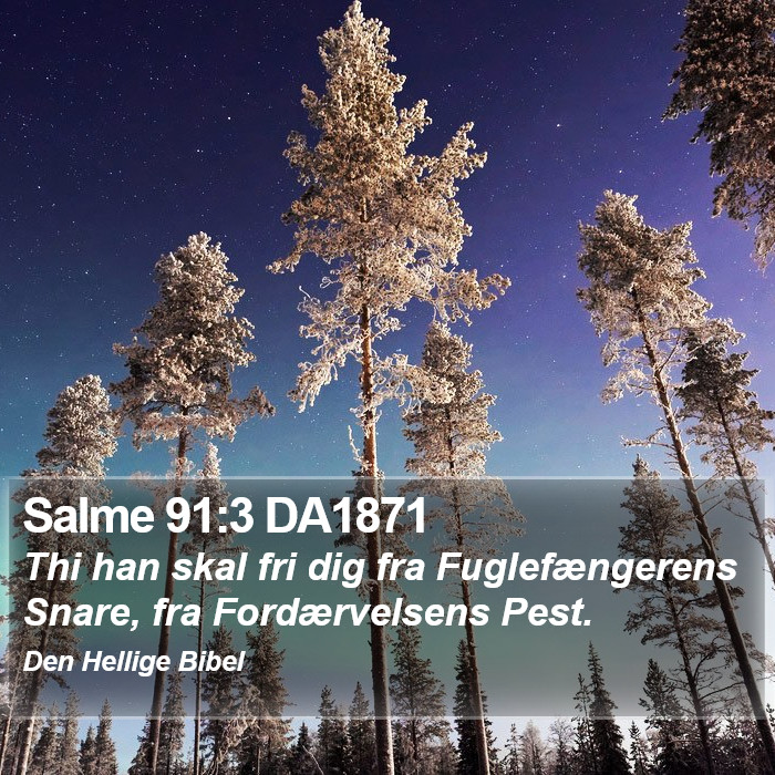 Salme 91:3 DA1871 Bible Study