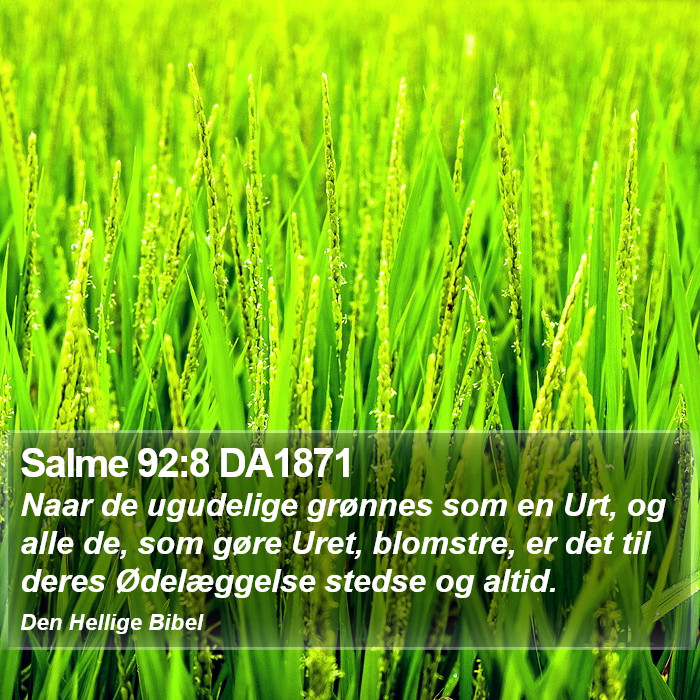 Salme 92:8 DA1871 Bible Study