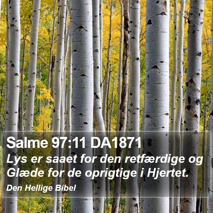 Salme 97:11 DA1871 Bible Study