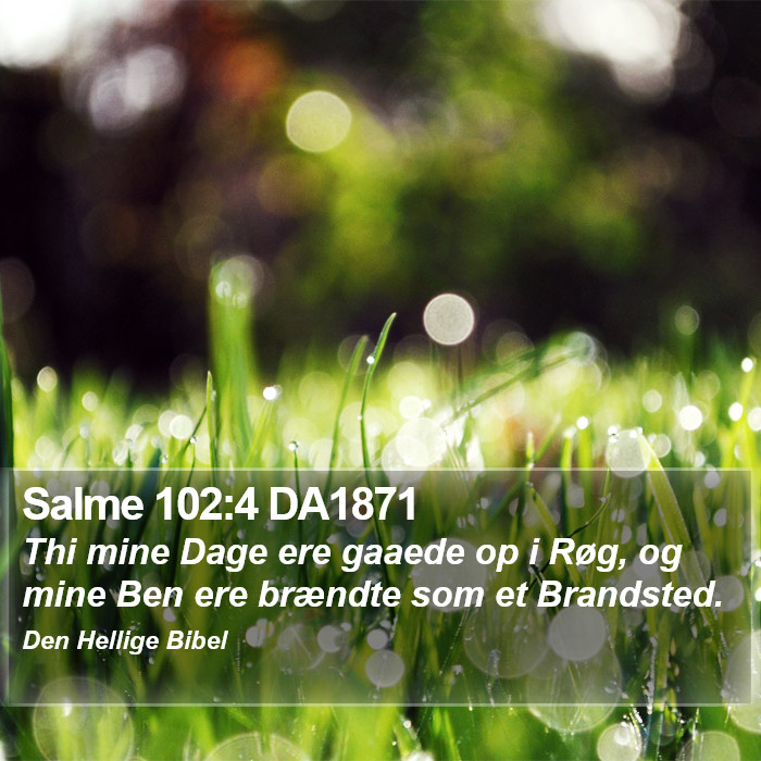 Salme 102:4 DA1871 Bible Study