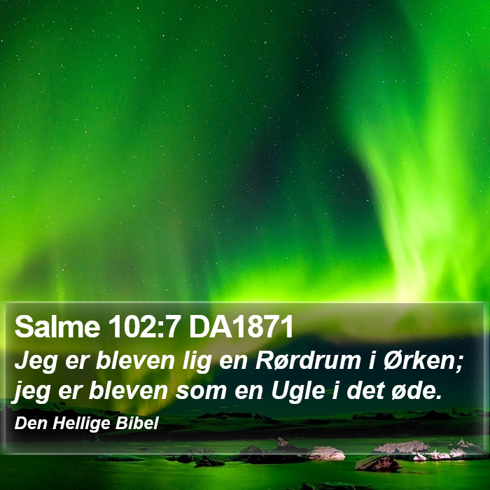 Salme 102:7 DA1871 Bible Study