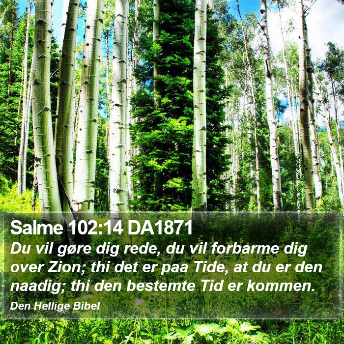 Salme 102:14 DA1871 Bible Study