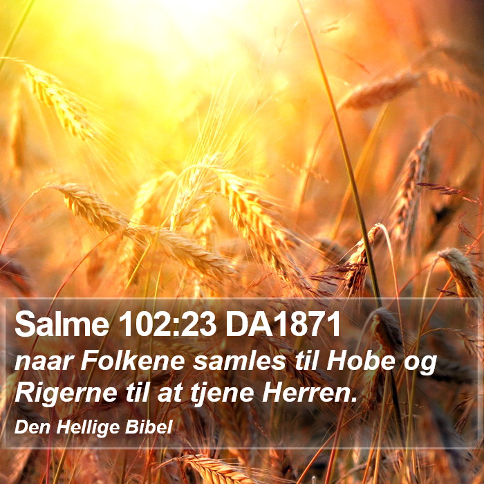 Salme 102:23 DA1871 Bible Study