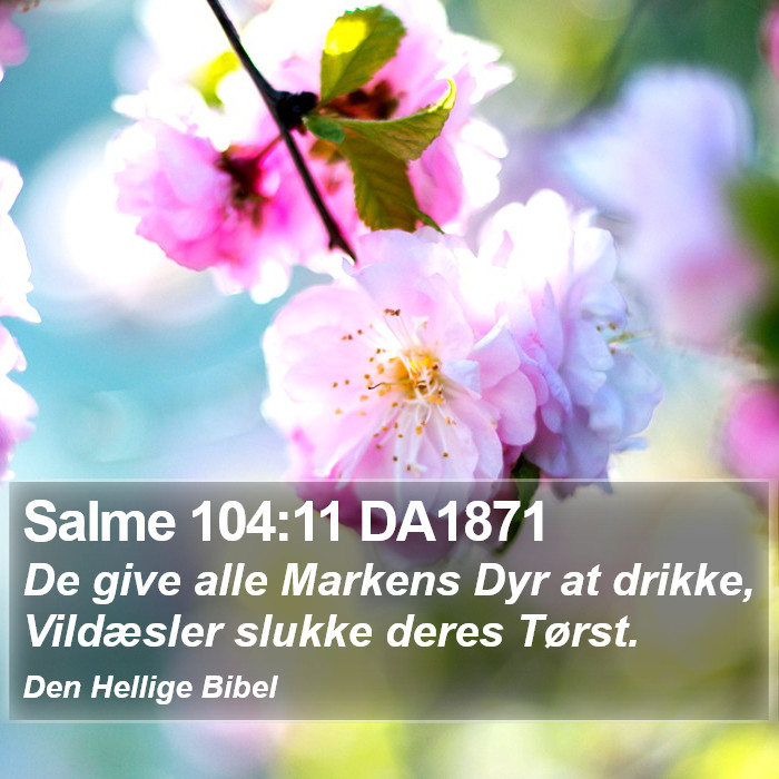 Salme 104:11 DA1871 Bible Study