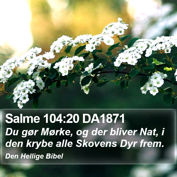 Salme 104:20 DA1871 Bible Study