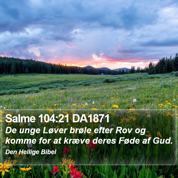 Salme 104:21 DA1871 Bible Study