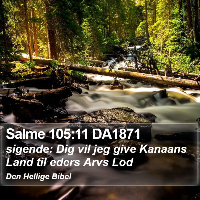 Salme 105:11 DA1871 Bible Study