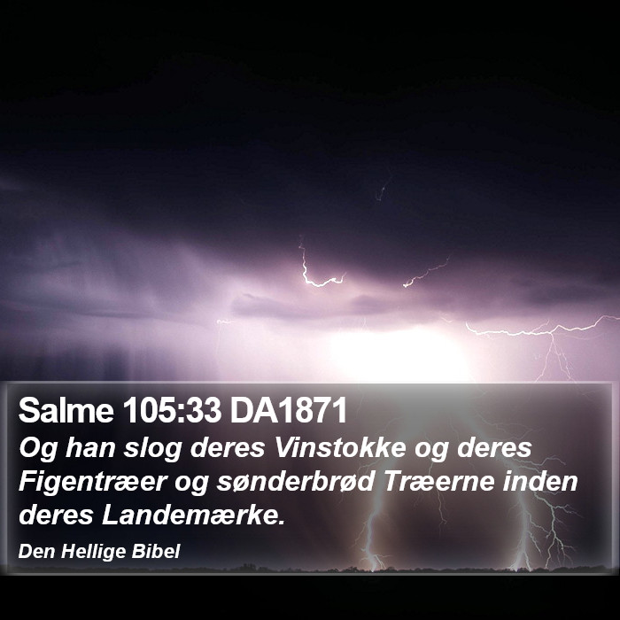 Salme 105:33 DA1871 Bible Study