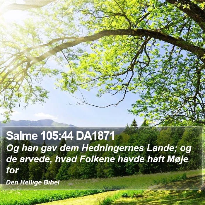 Salme 105:44 DA1871 Bible Study