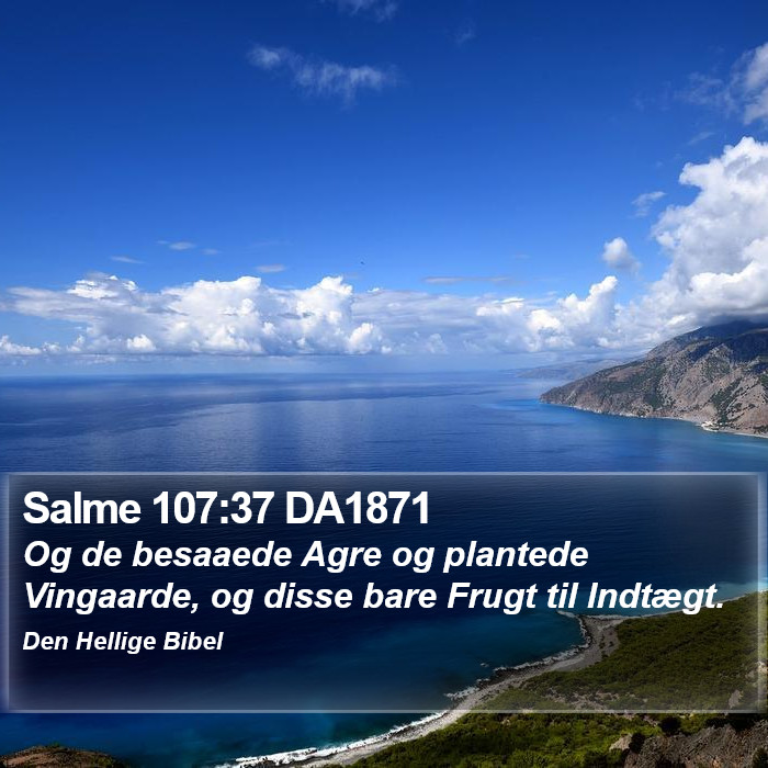 Salme 107:37 DA1871 Bible Study