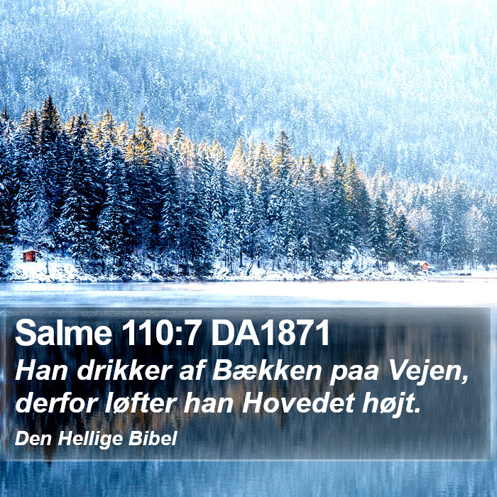 Salme 110:7 DA1871 Bible Study