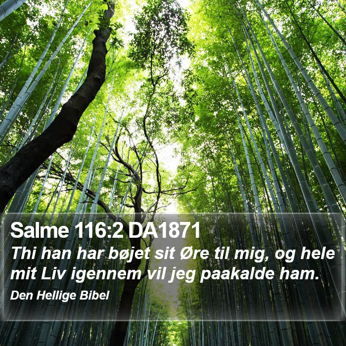 Salme 116:2 DA1871 Bible Study