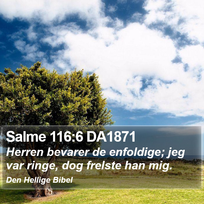 Salme 116:6 DA1871 Bible Study