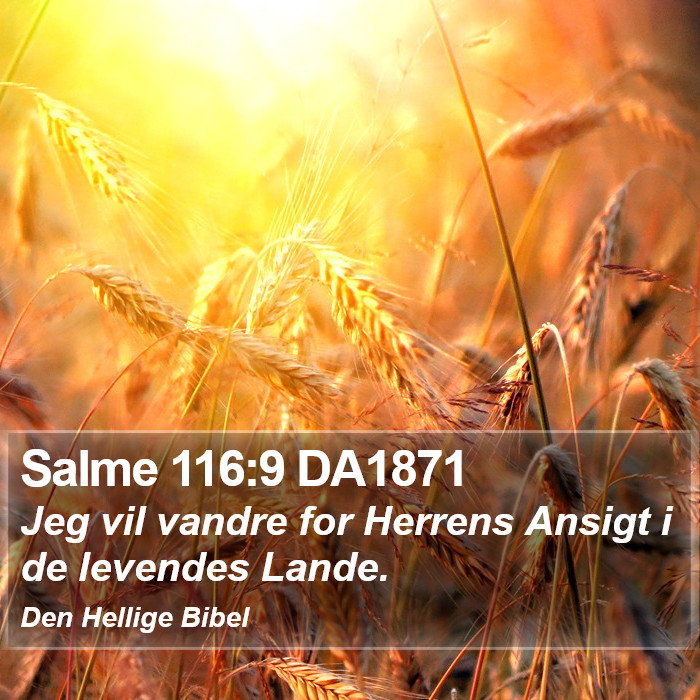 Salme 116:9 DA1871 Bible Study