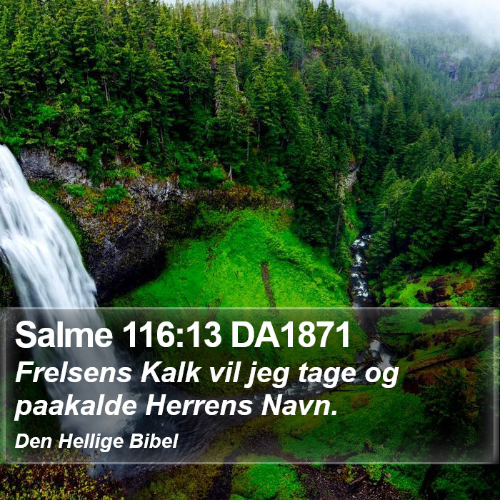 Salme 116:13 DA1871 Bible Study