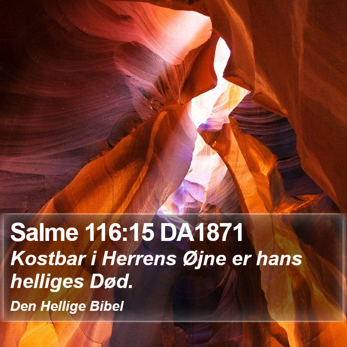 Salme 116:15 DA1871 Bible Study