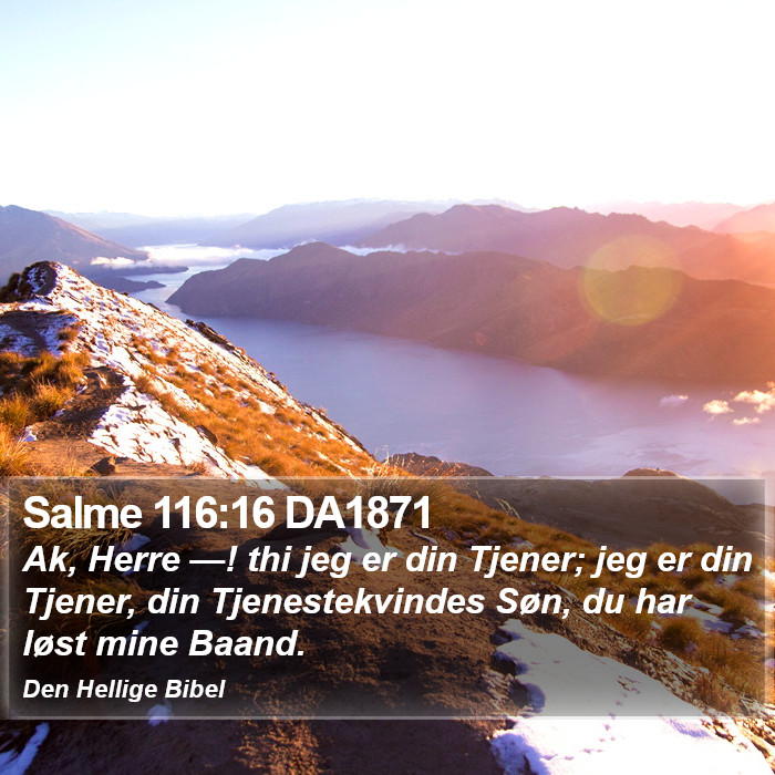 Salme 116:16 DA1871 Bible Study