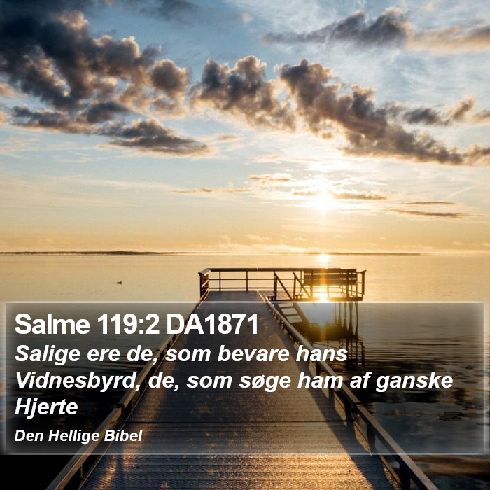 Salme 119:2 DA1871 Bible Study