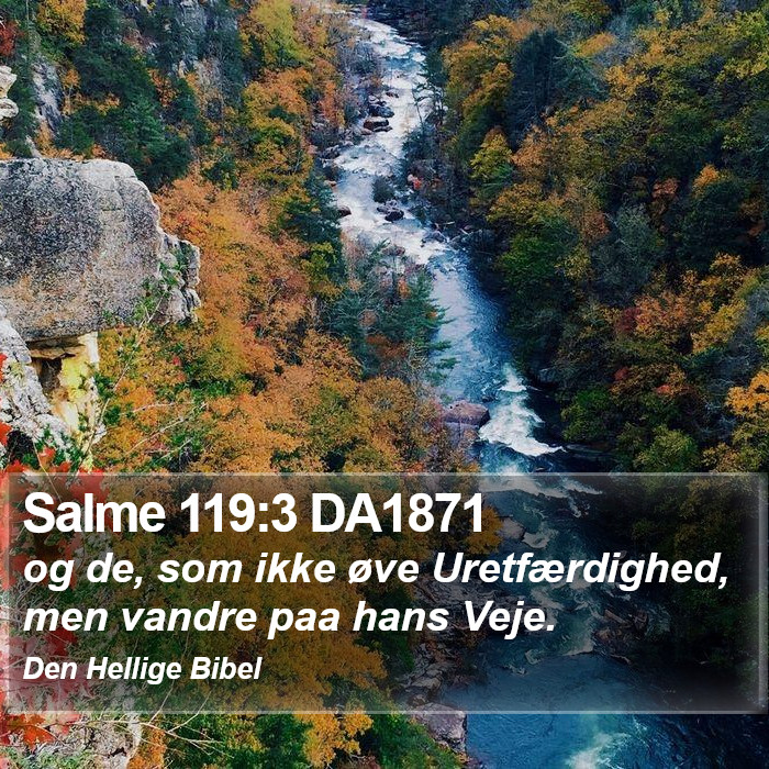 Salme 119:3 DA1871 Bible Study