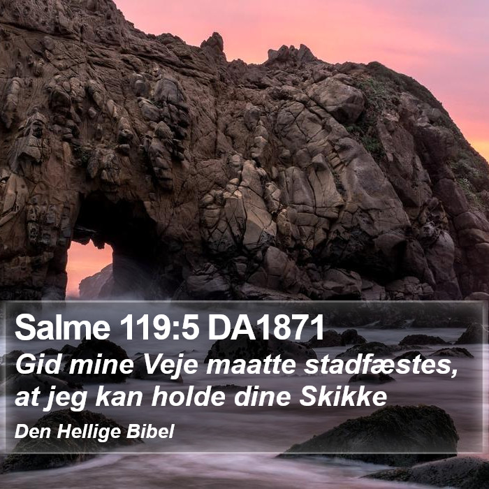 Salme 119:5 DA1871 Bible Study