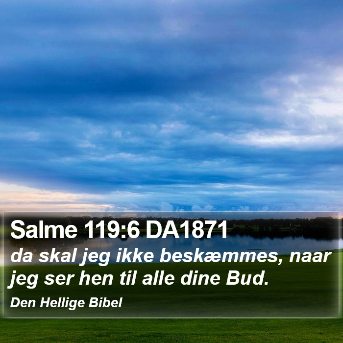 Salme 119:6 DA1871 Bible Study