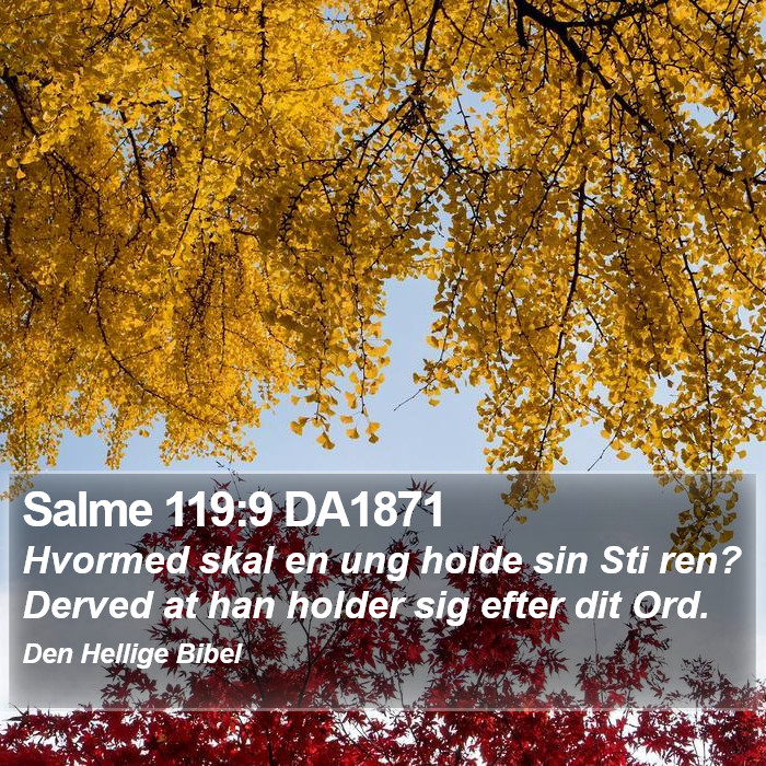 Salme 119:9 DA1871 Bible Study