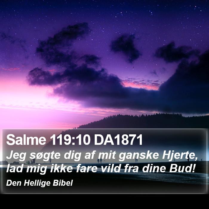 Salme 119:10 DA1871 Bible Study