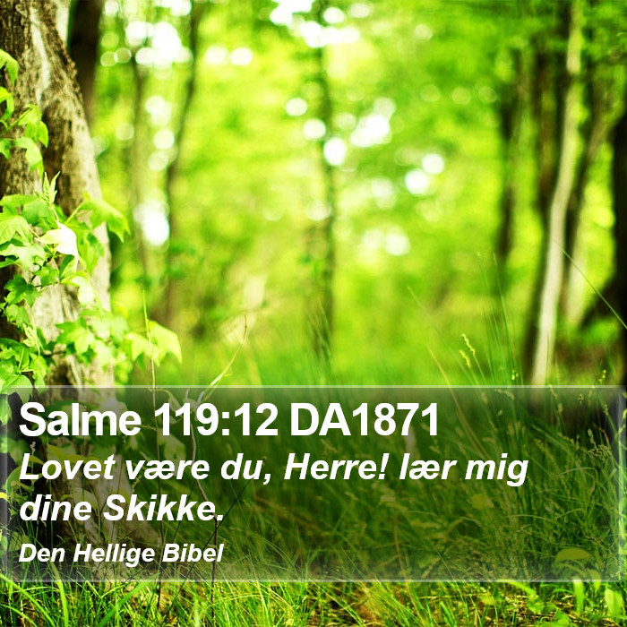 Salme 119:12 DA1871 Bible Study