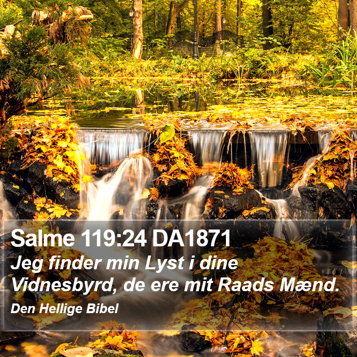 Salme 119:24 DA1871 Bible Study