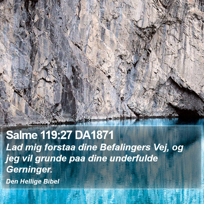 Salme 119:27 DA1871 Bible Study