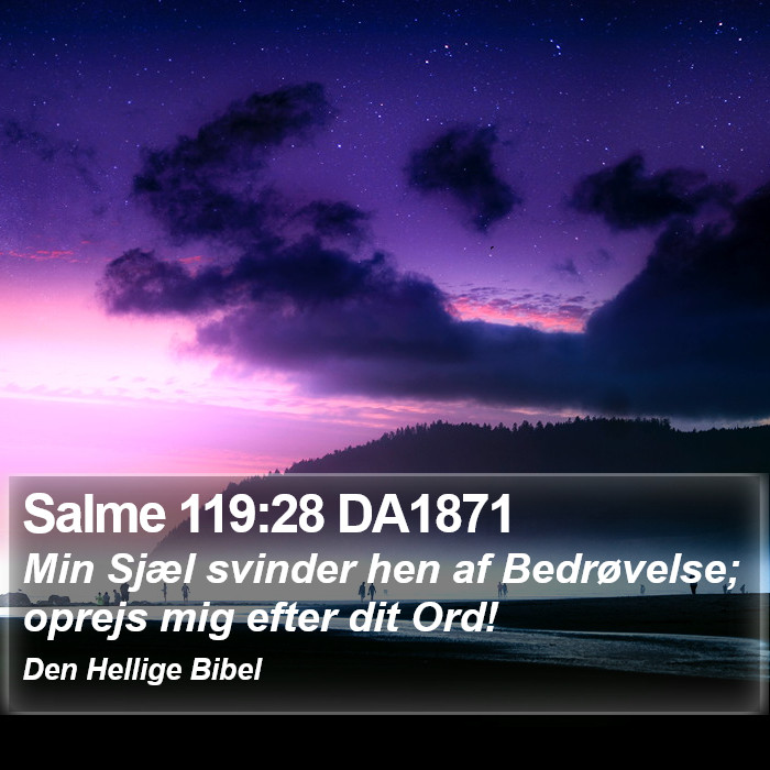 Salme 119:28 DA1871 Bible Study