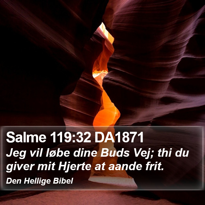 Salme 119:32 DA1871 Bible Study