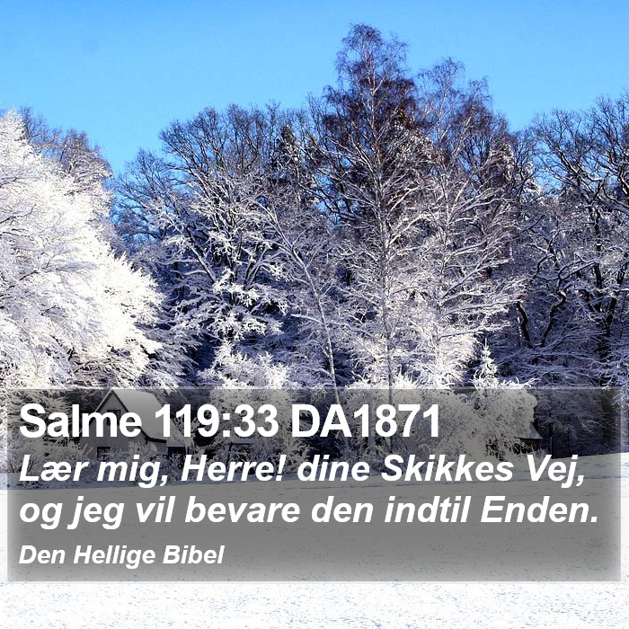 Salme 119:33 DA1871 Bible Study