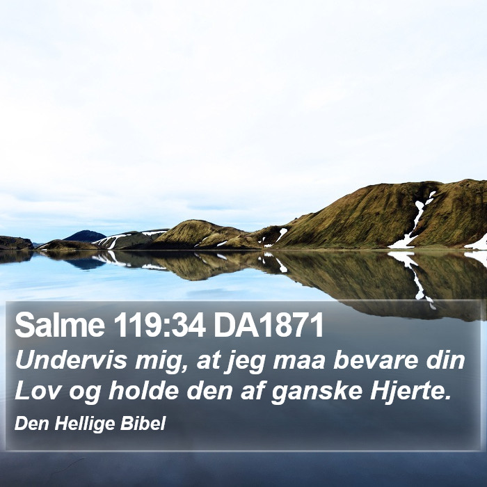 Salme 119:34 DA1871 Bible Study