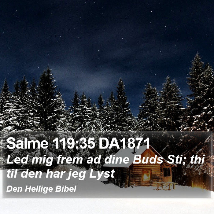 Salme 119:35 DA1871 Bible Study