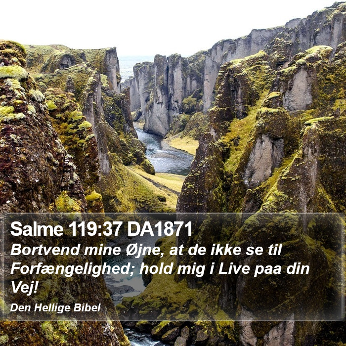 Salme 119:37 DA1871 Bible Study