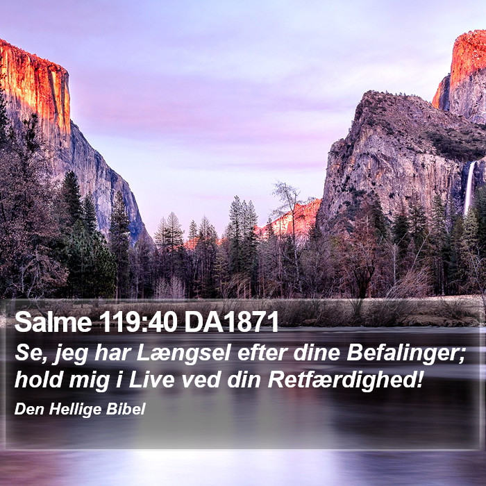 Salme 119:40 DA1871 Bible Study