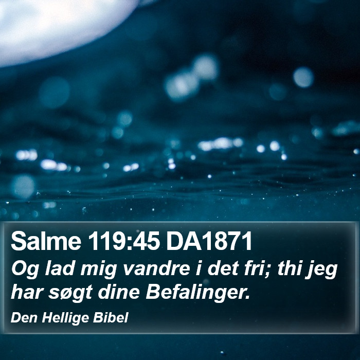 Salme 119:45 DA1871 Bible Study