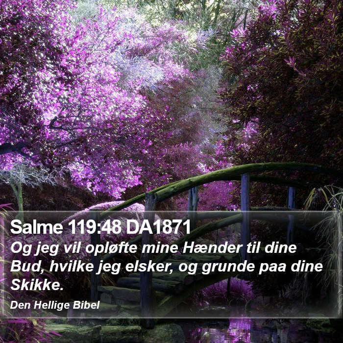 Salme 119:48 DA1871 Bible Study