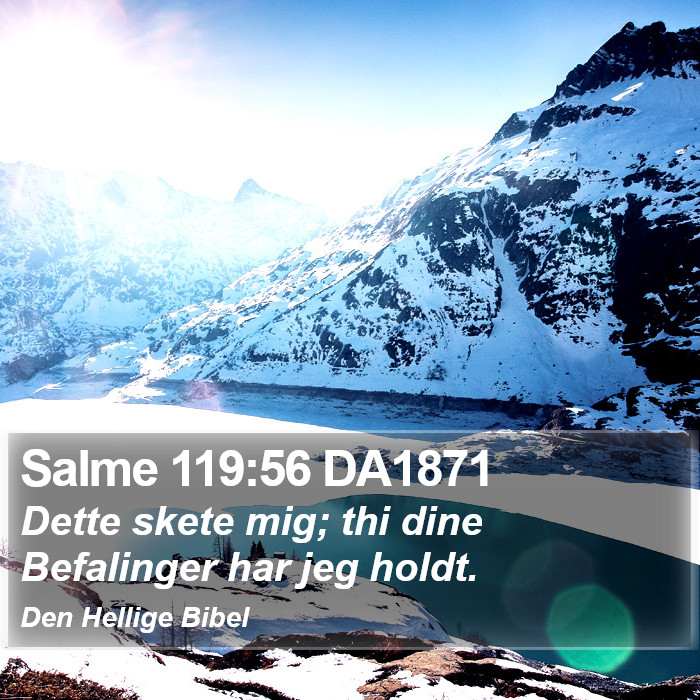 Salme 119:56 DA1871 Bible Study