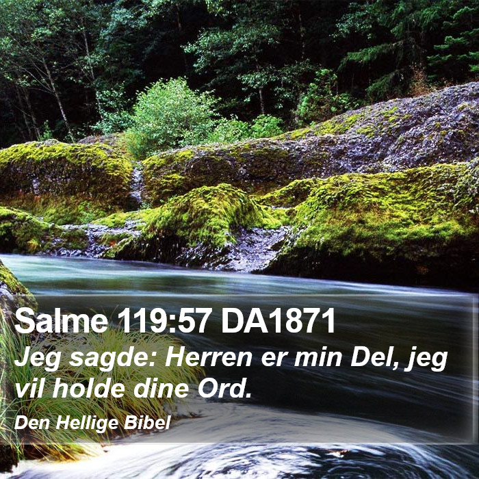 Salme 119:57 DA1871 Bible Study