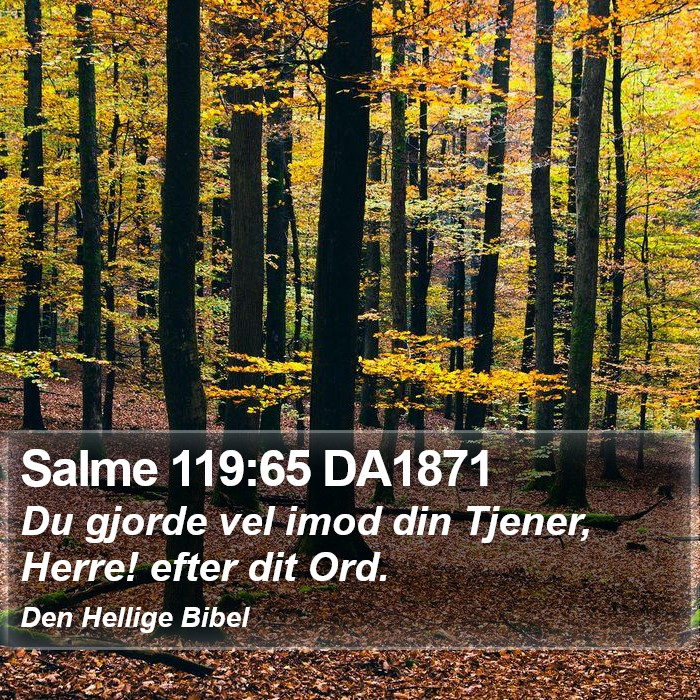 Salme 119:65 DA1871 Bible Study