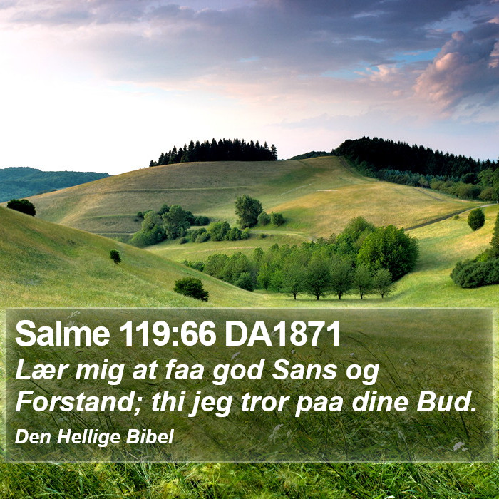 Salme 119:66 DA1871 Bible Study