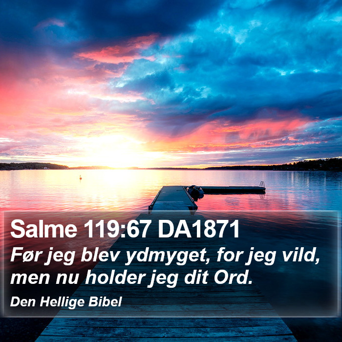 Salme 119:67 DA1871 Bible Study