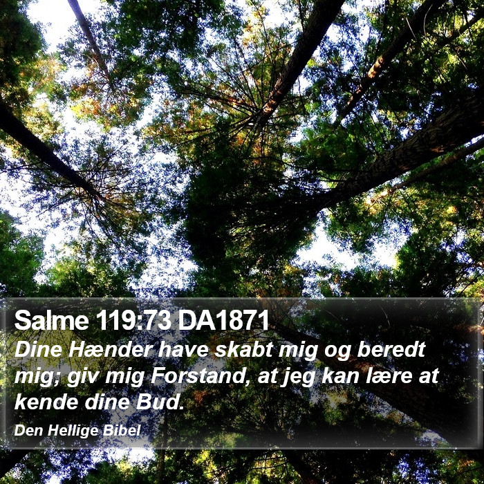 Salme 119:73 DA1871 Bible Study