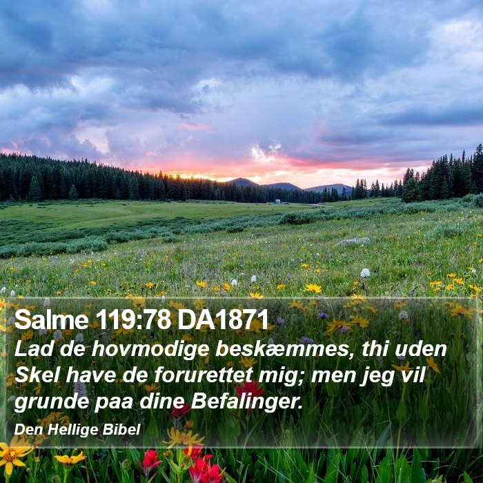 Salme 119:78 DA1871 Bible Study