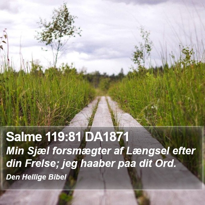 Salme 119:81 DA1871 Bible Study